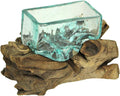 Rectangular Glass On Driftwood Decorative Bowl Q271742