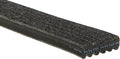 Serpentine Belt G638