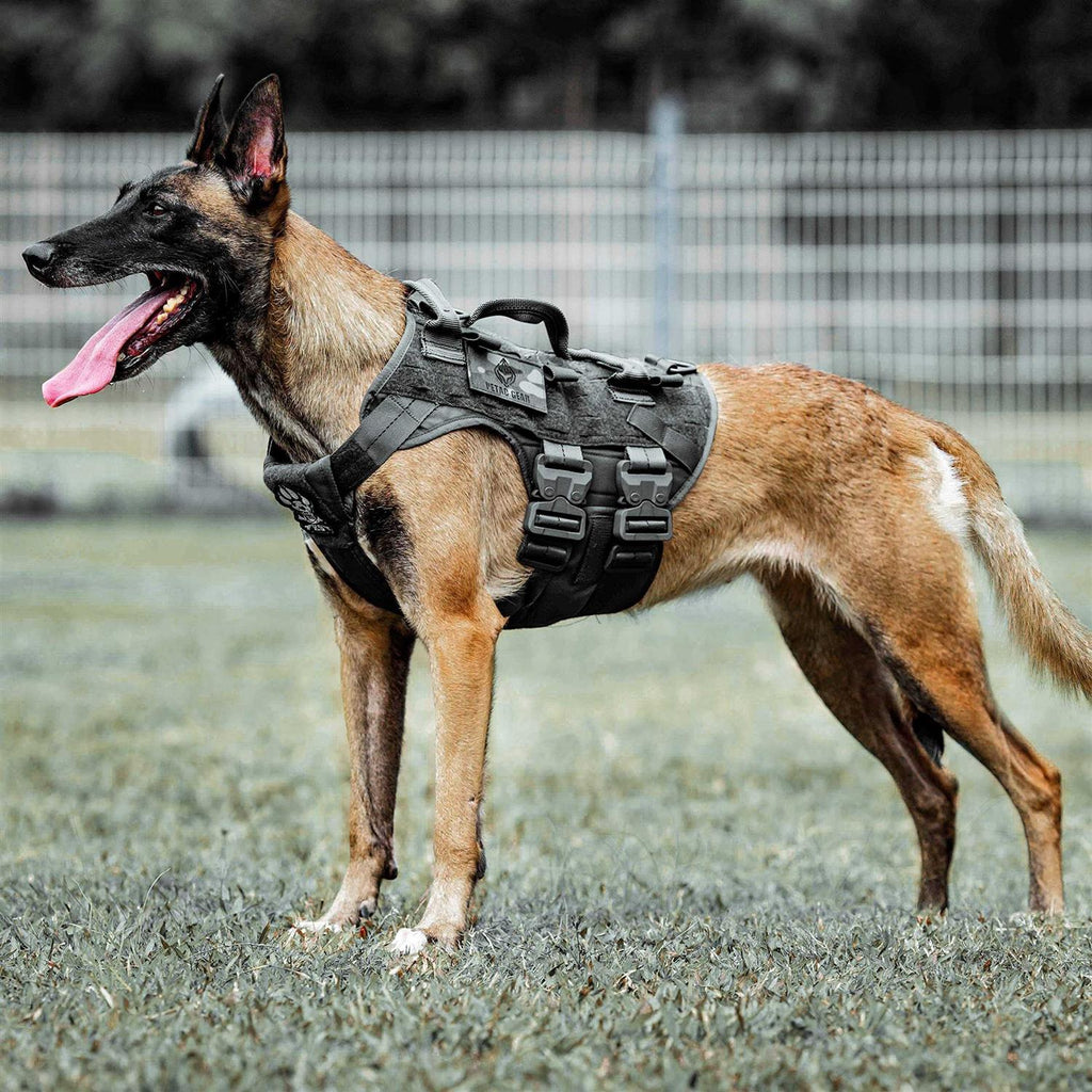 Tactical Dog Harness K9 Dog Training Vest Adjustable Padded MOLLE Vests D7669