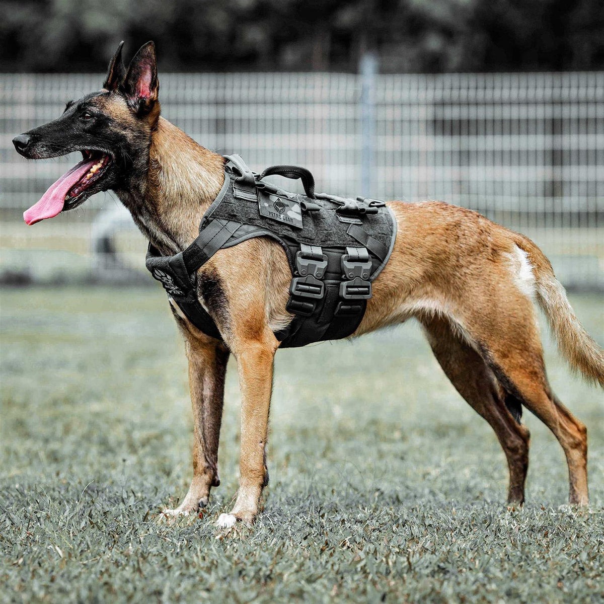 Tactical Dog Harness K9 Dog Training Vest Adjustable Padded MOLLE Vests D7669