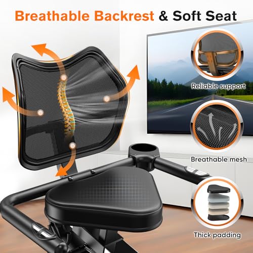 Recumbent Exercise Bike with Arm Exerciser X967208