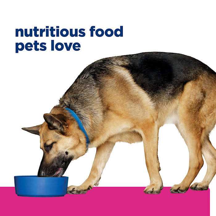 Gastrointestinal Biome Chicken & Vegetable Stew Wet Dog Food S6774