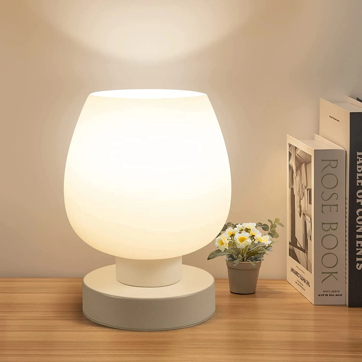 Touch Control Table Lamp with Glass Lamp Shade A916