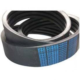 Banded Belt 1/2 x 137in OC C94648