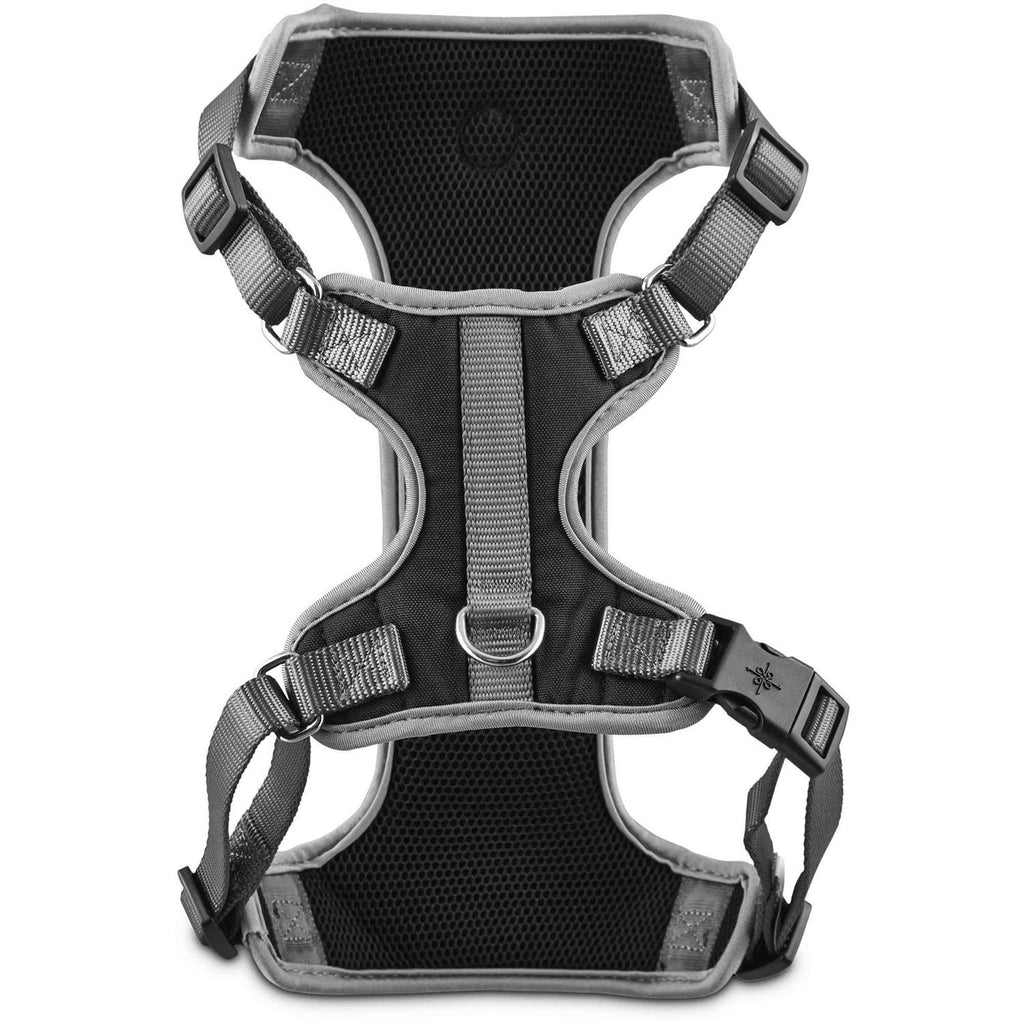 Black Dog Harness R374