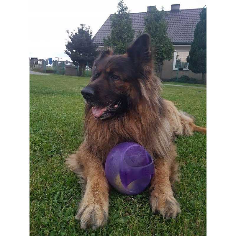 Jumbler Ball Dog Toy Y481