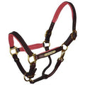 Padded Leather Halter with Nameplate M18413