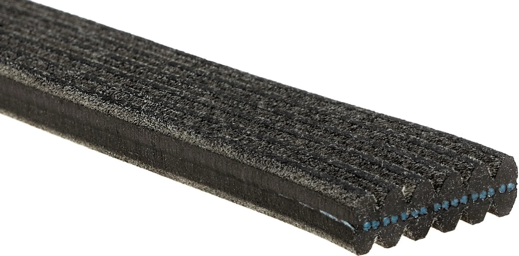 Serpentine Belt G638