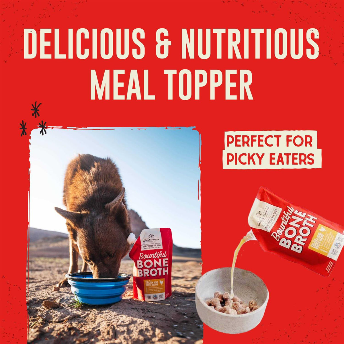 Beef Bone Broth T860