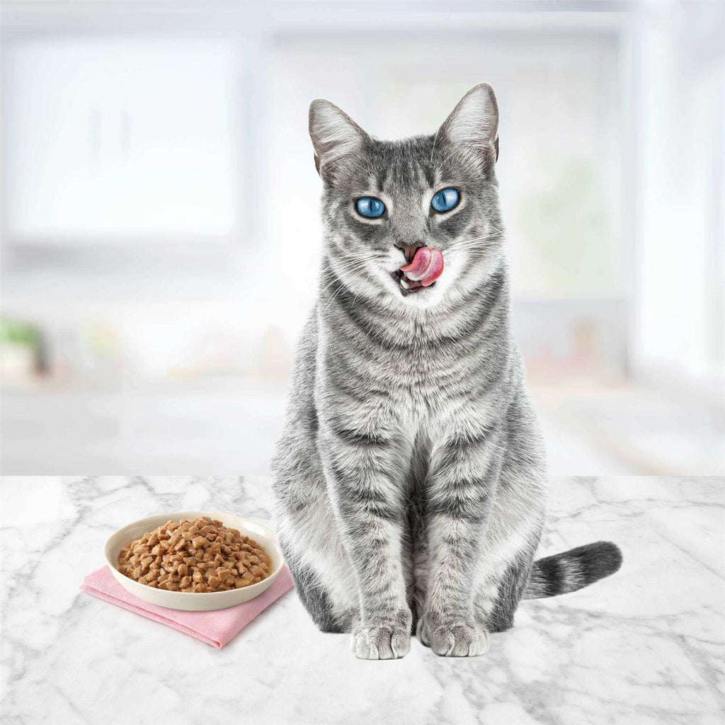 Cat Food Entree H787