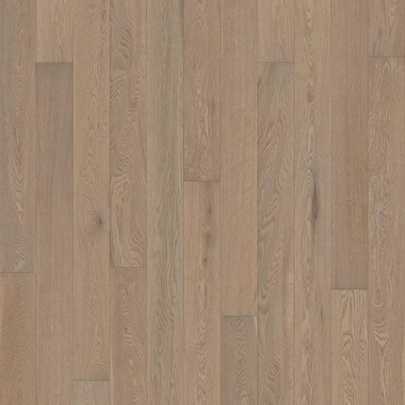 Canvas Oak Reiter Y87059