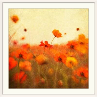 White Frame 28x22 Photographic Print Q68911
