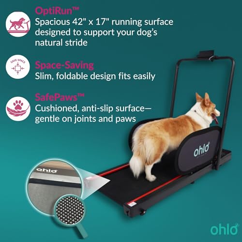 Portable Pet Treadmill with Wheels & Remote Control J53731