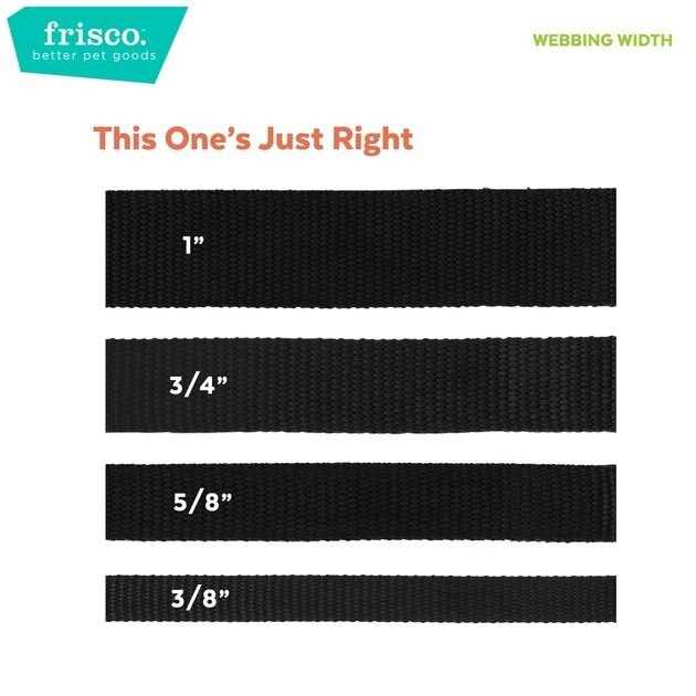 Dog Leash K352