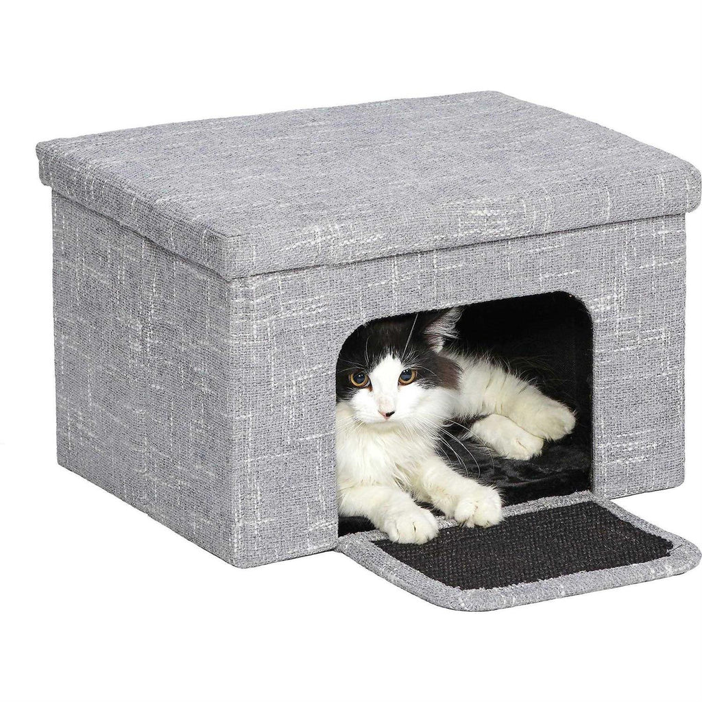 Curious Cat Cube O160846
