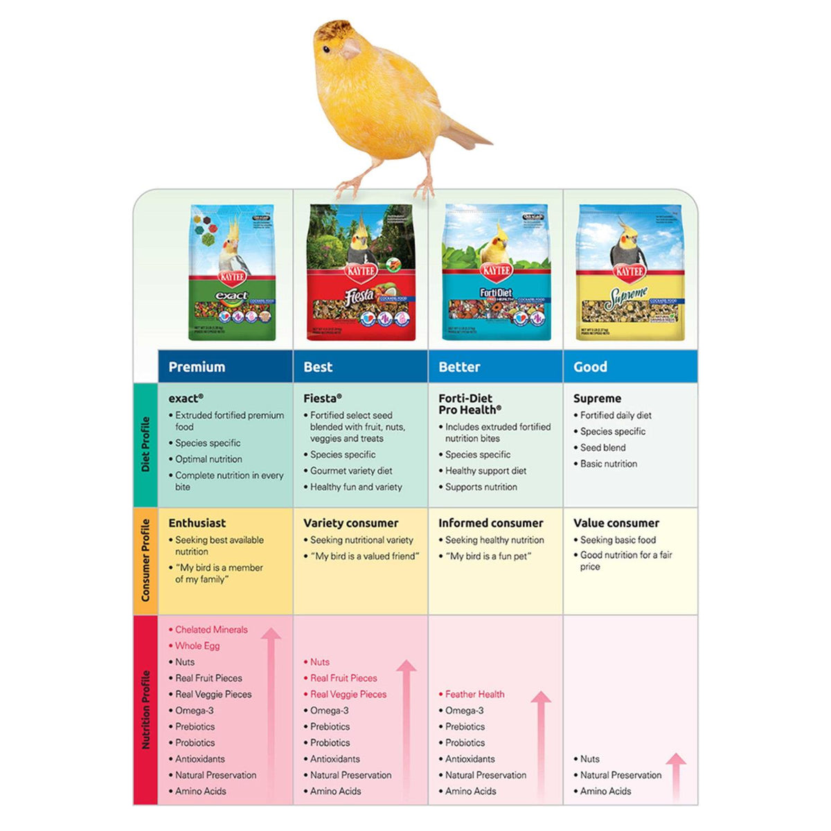 Parrot Food G5009