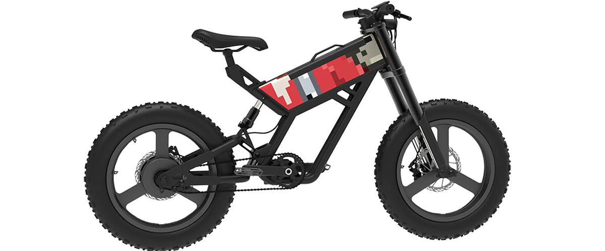 Fat Tire eBike S44271
