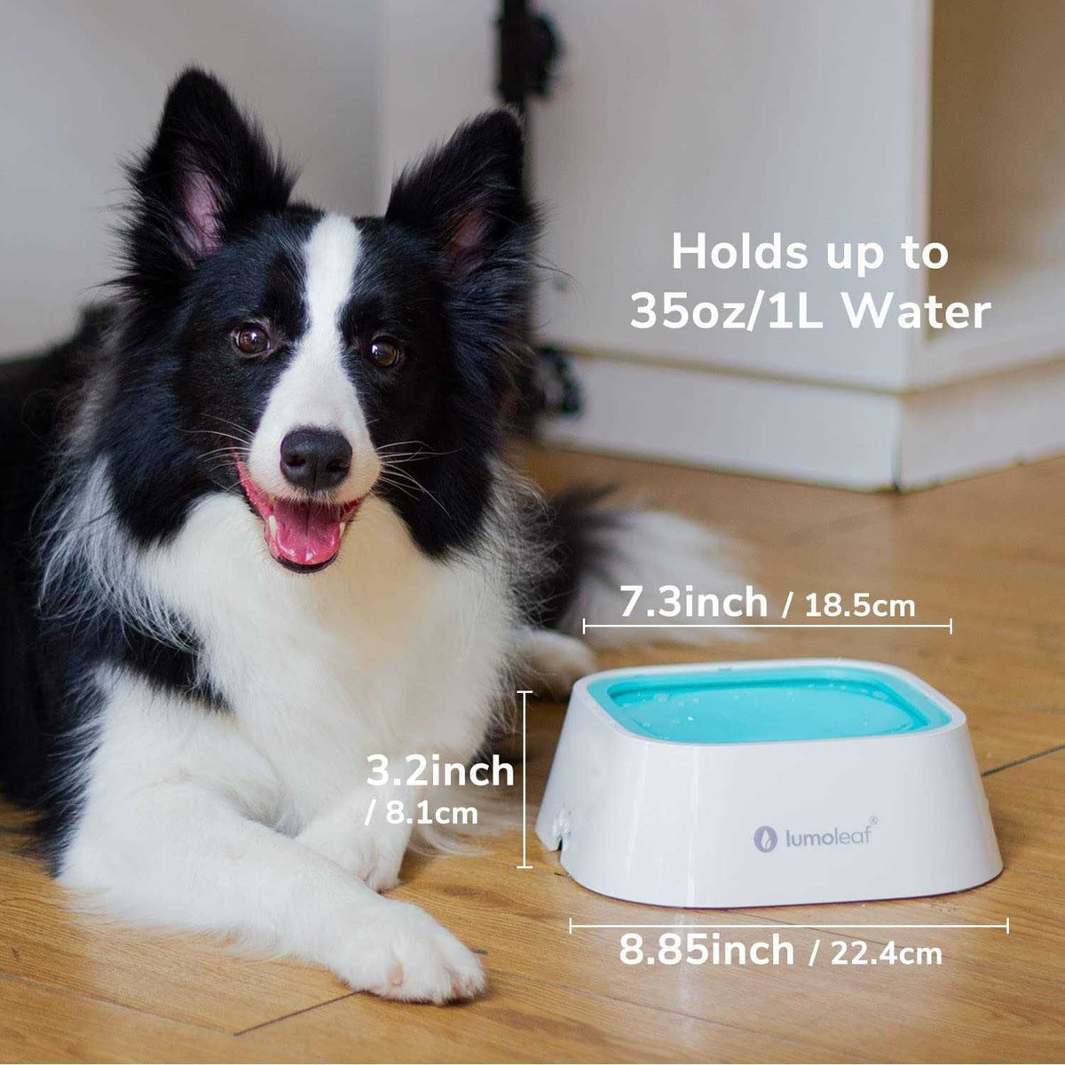 Dog Water Bowl Slow Feeder Bowl T7663