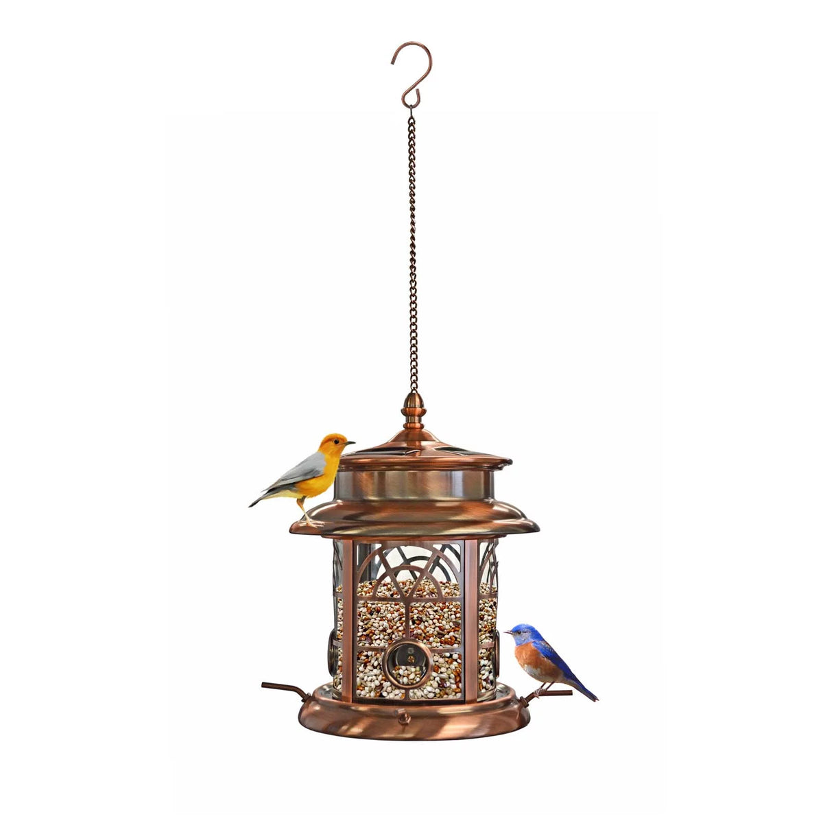 Solar Birdfeeder M178