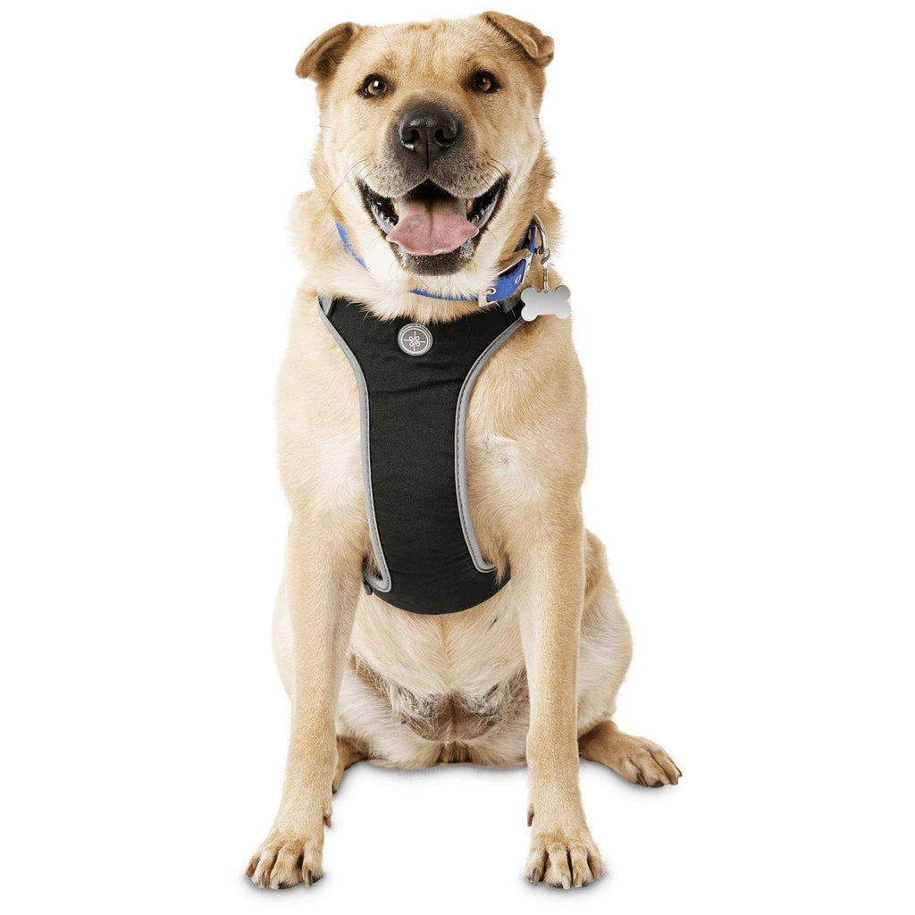 Black Dog Harness R374