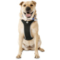 Black Dog Harness R374
