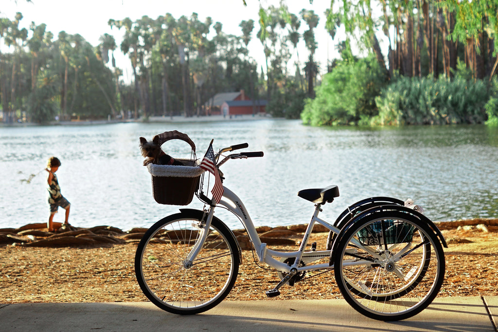 Blue Folding Adult Trike R38765