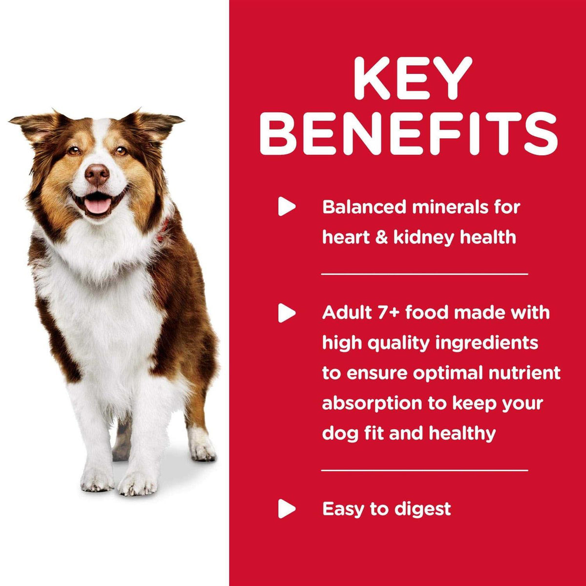 Braised Beef Adult Pet Food T500