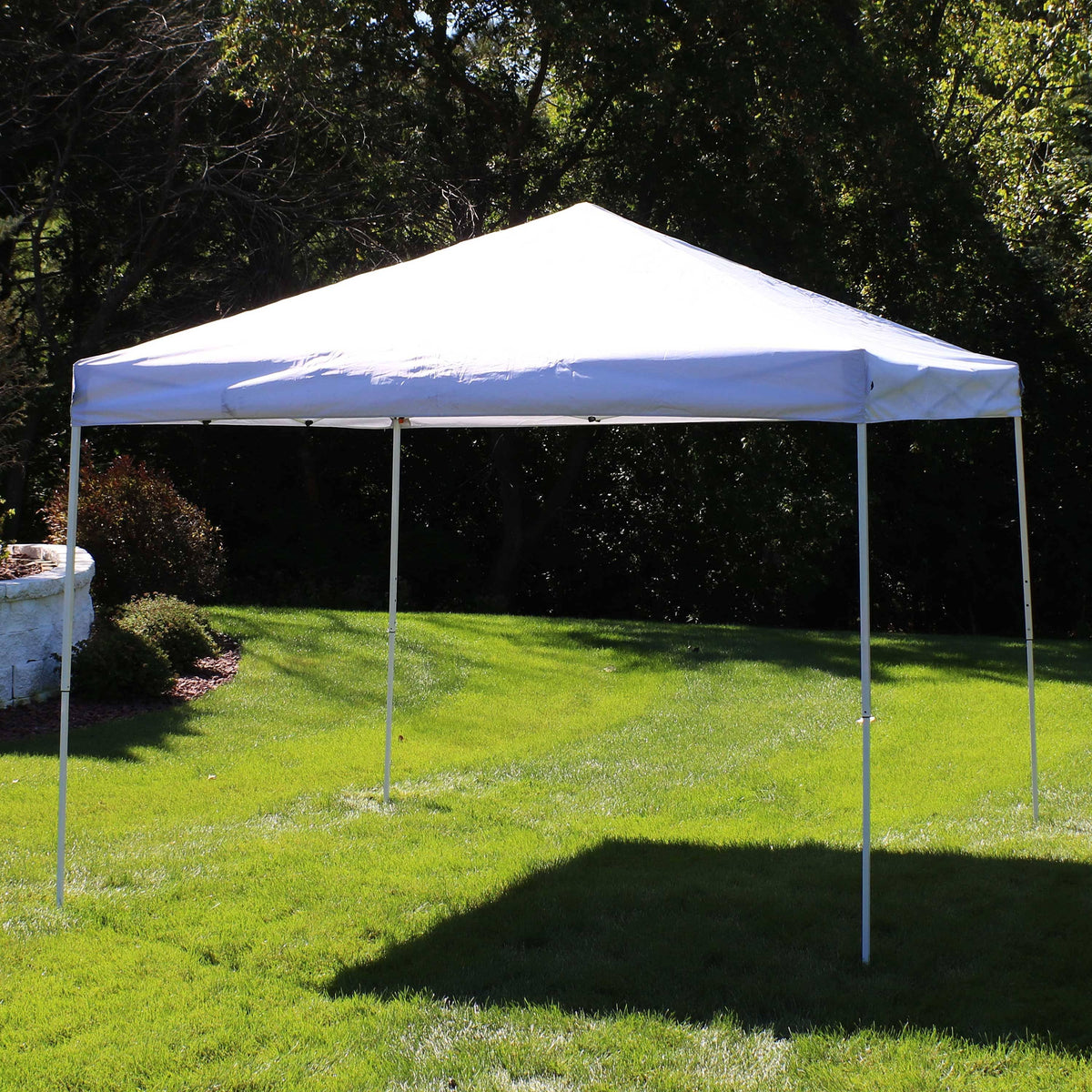 White 10 ft. x 10 ft. Steel Frame Canopy with Carrying Bag I800589