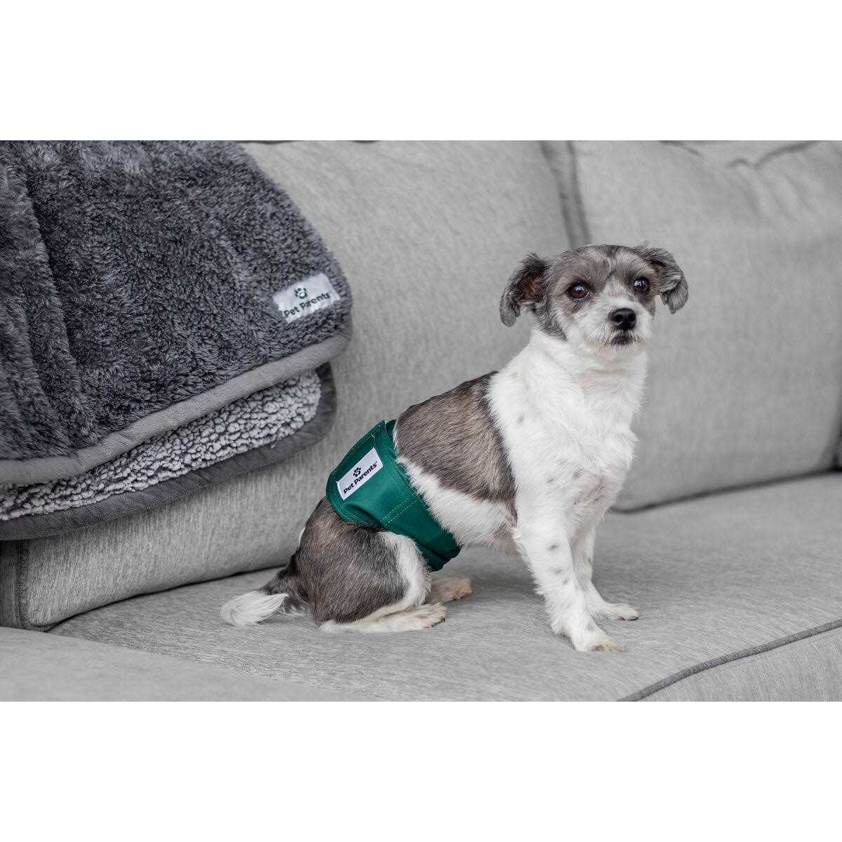 Washable Dog Belly Bands B411913