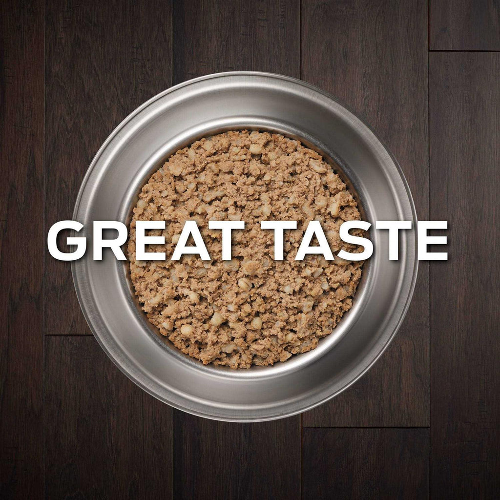 Wet Dog Food H171