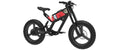 Fat Tire eBike S44271