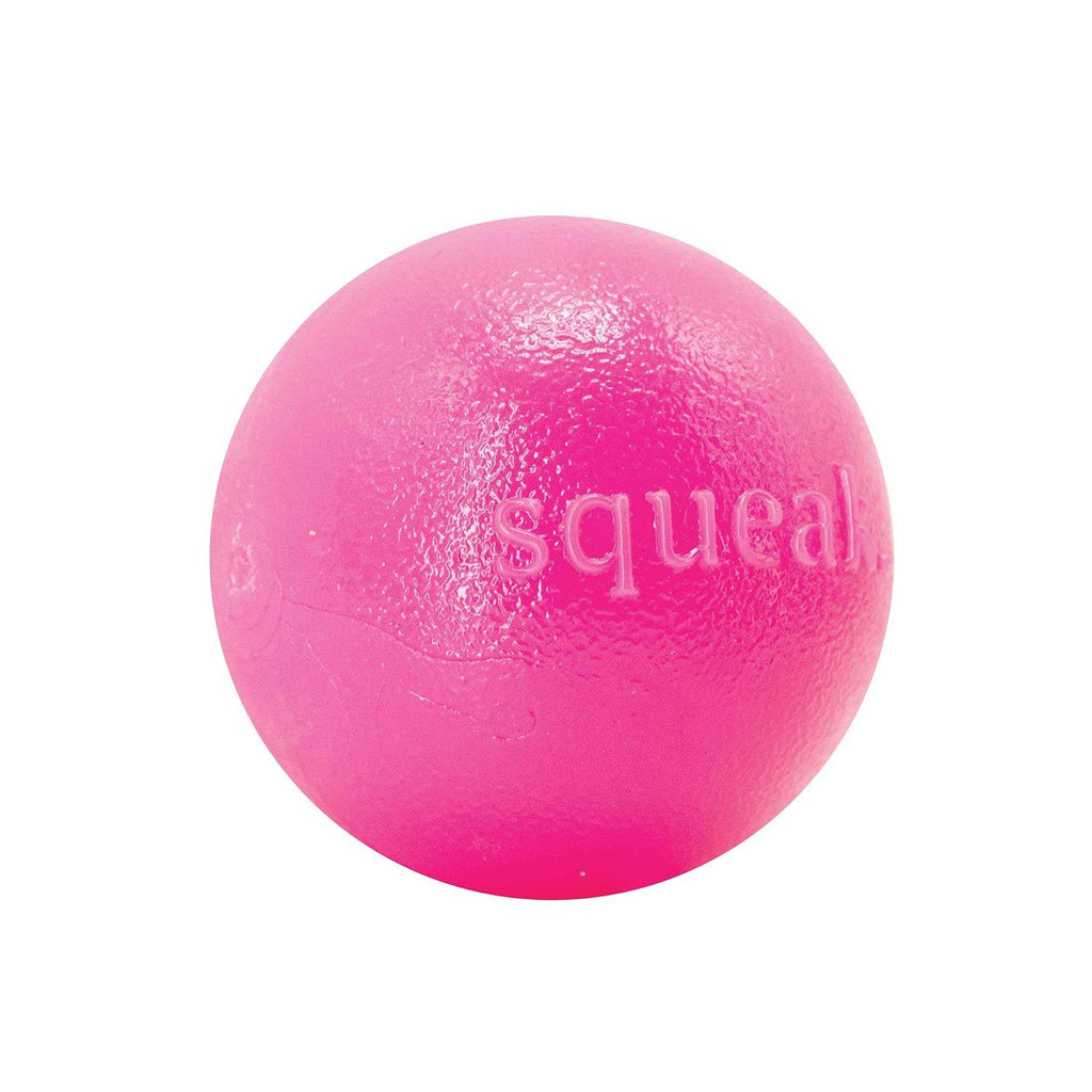 Squeak Toy Ball L1272