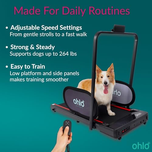 Portable Pet Treadmill with Wheels & Remote Control J53731