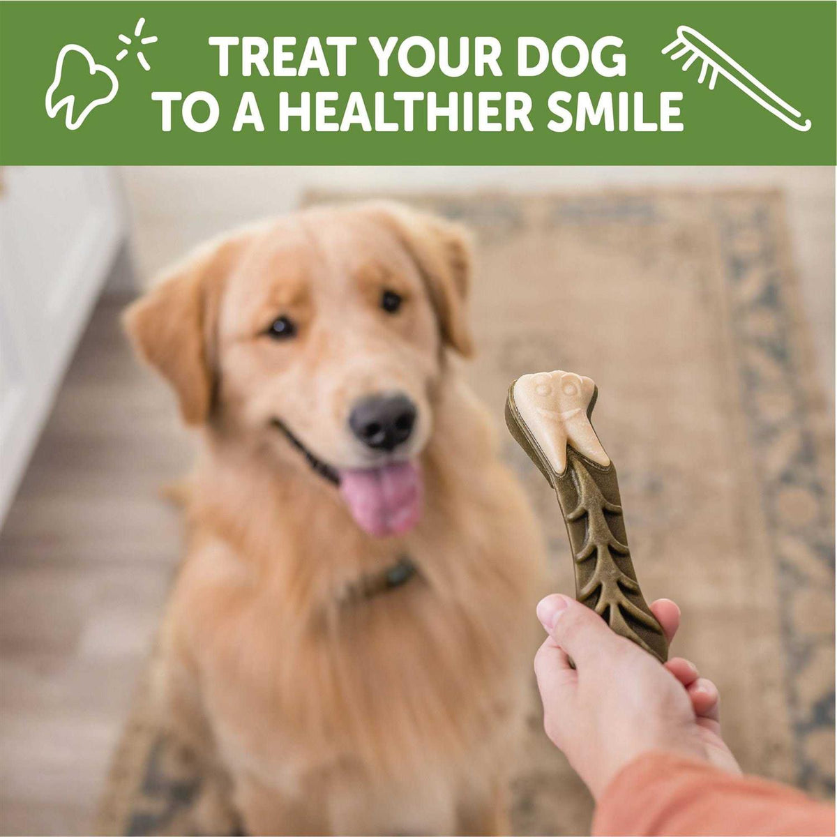 Large Natural Dental Dog Treats I434