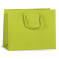 Solid Lime Matte Gift Bags with Cardboard Bottom Inserts and Cord Handles H664