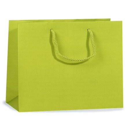 Solid Lime Matte Gift Bags with Cardboard Bottom Inserts and Cord Handles H664