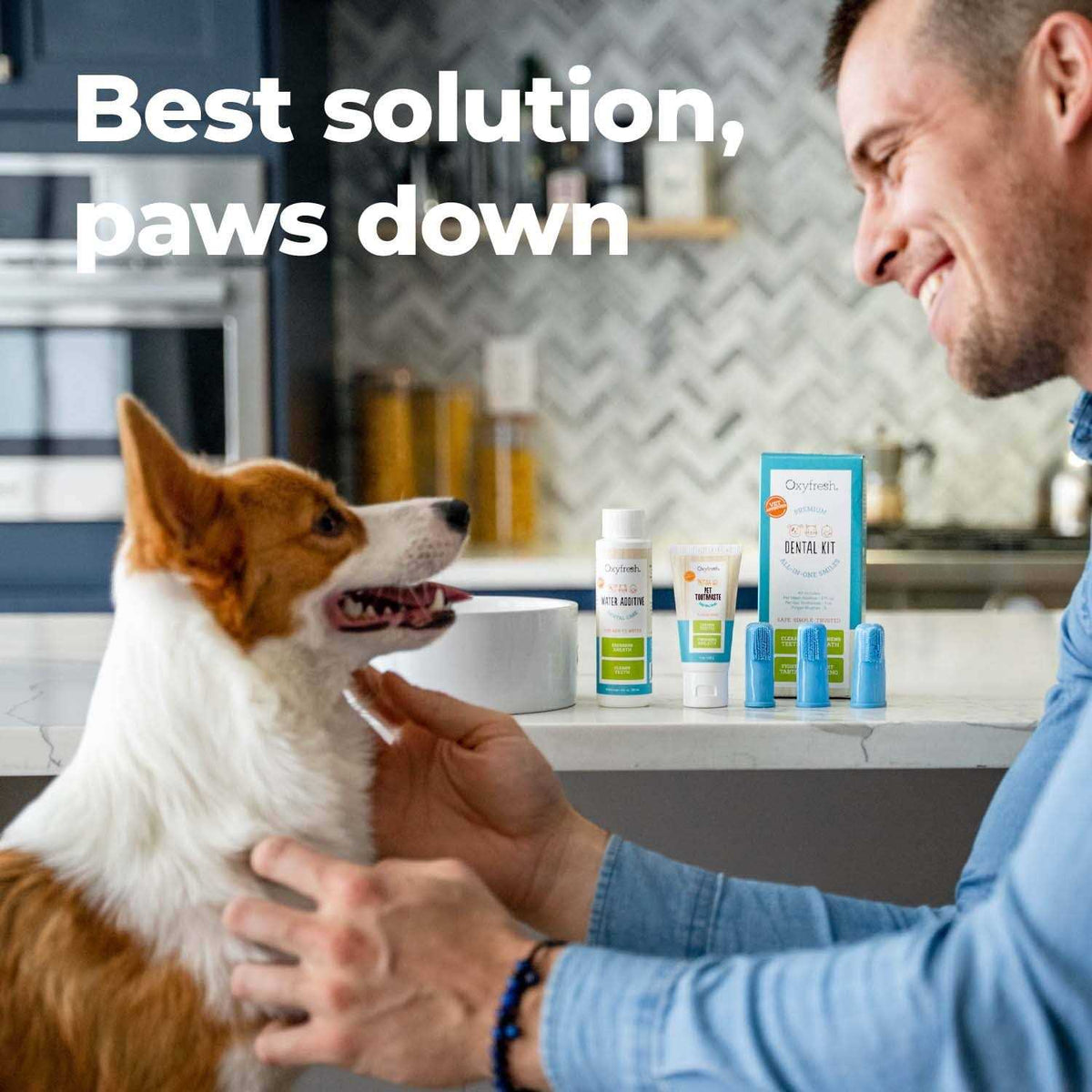 Pet Dental Kit A212