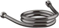 Vibrant Titanium 60-Inch Metal Shower Hose A2642