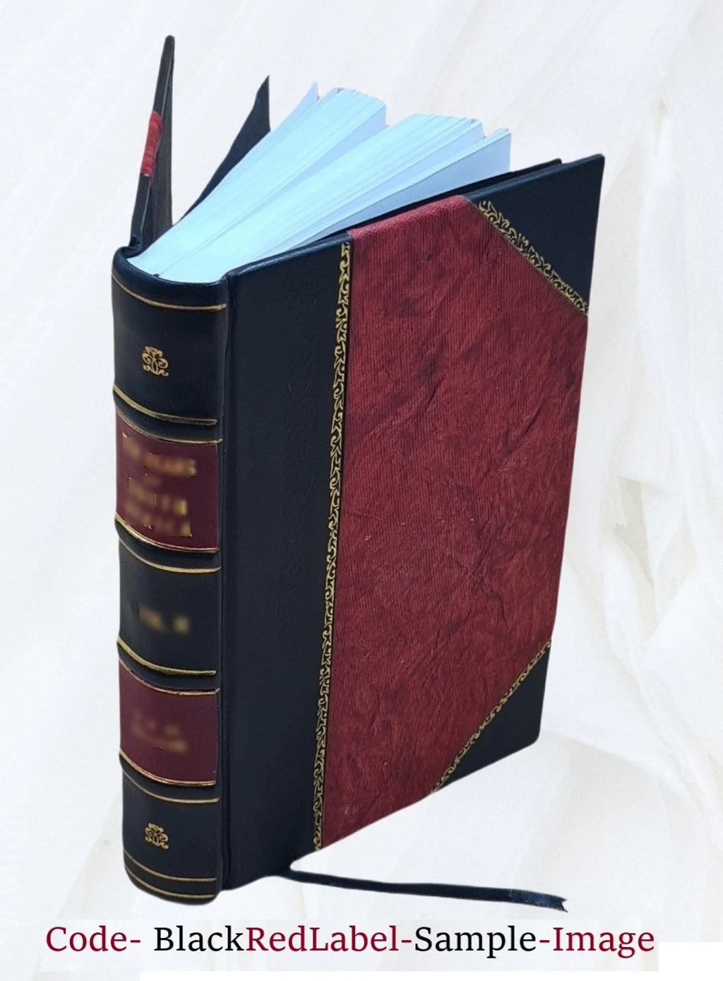 Leather Bound Mountaineering and exploration in the Japanese Alps 1896 Q8258