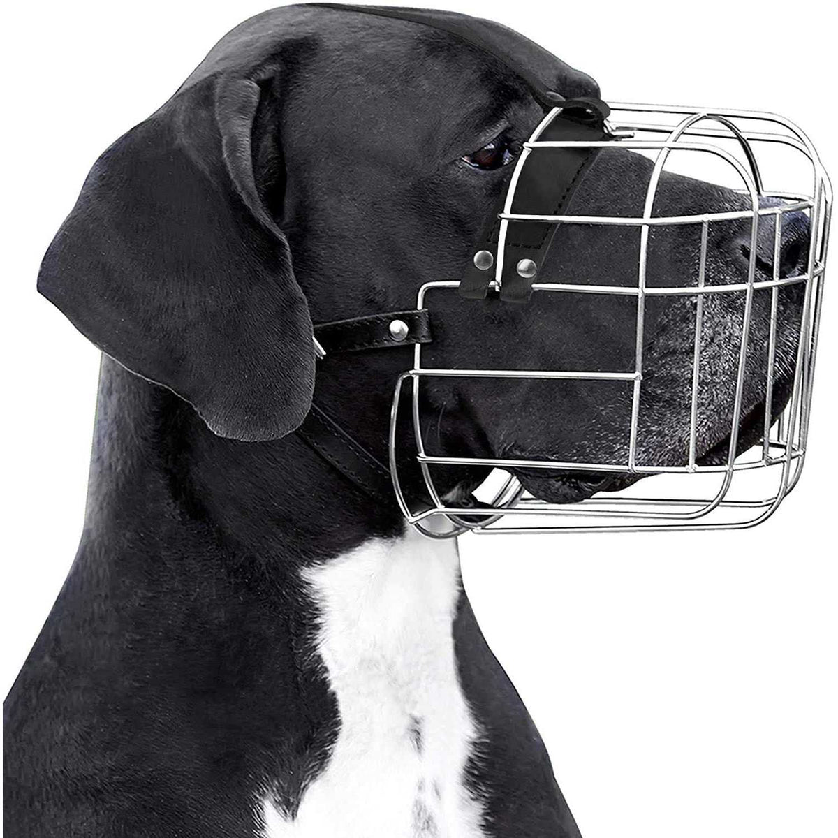 Metal Dog Muzzle Wire Basket with Leather Straps Q205696