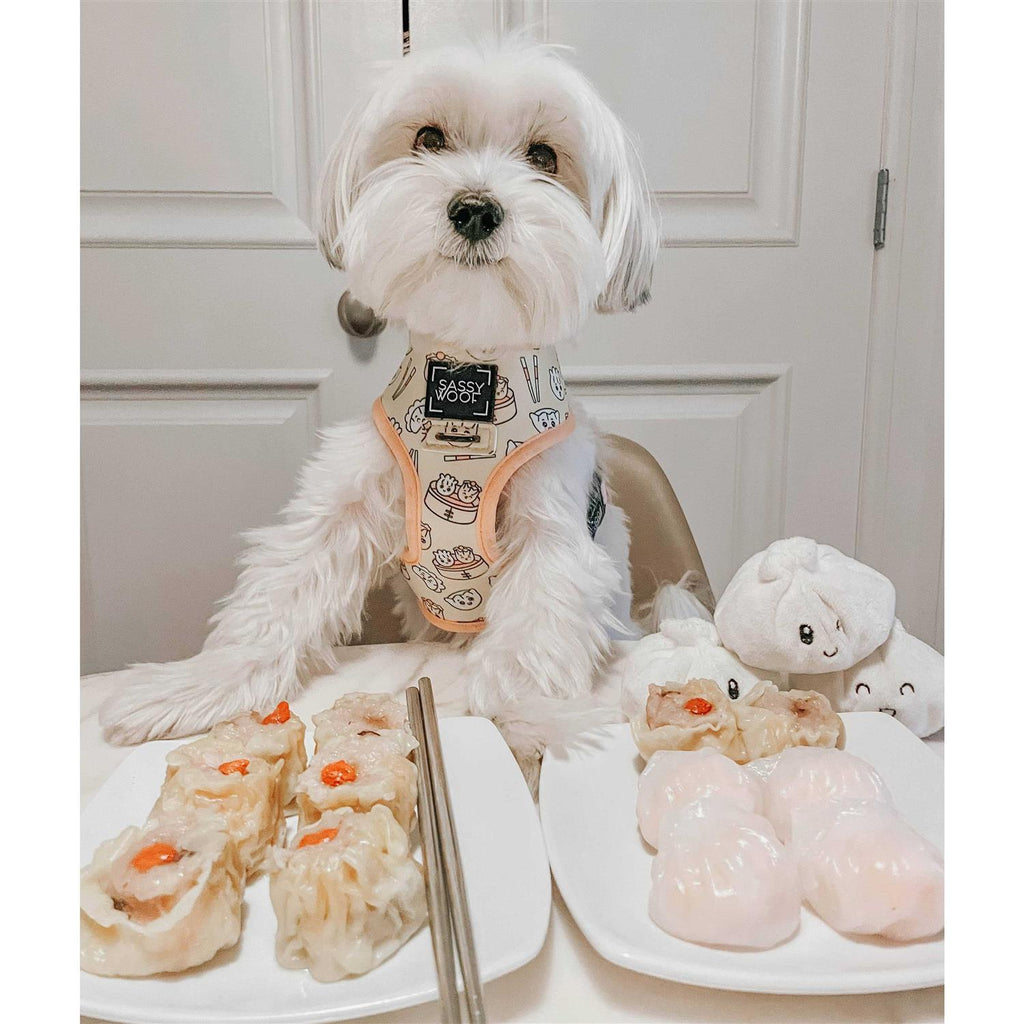 Reversible Dog Harness Z4090