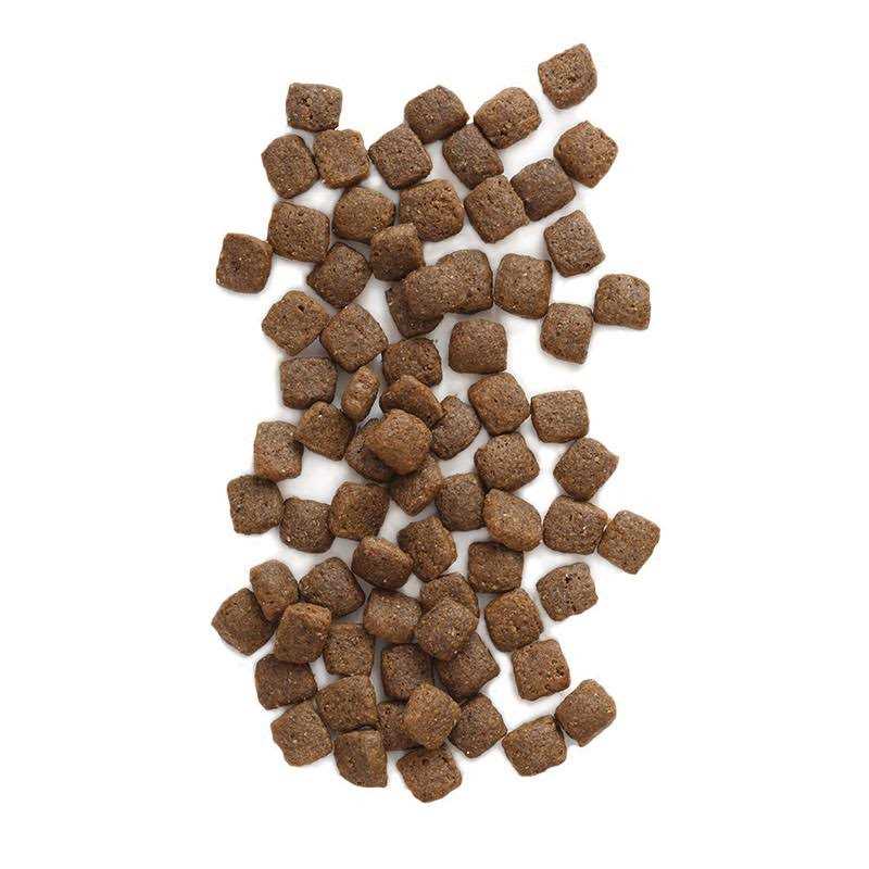 Grain Free Dog Food L40804
