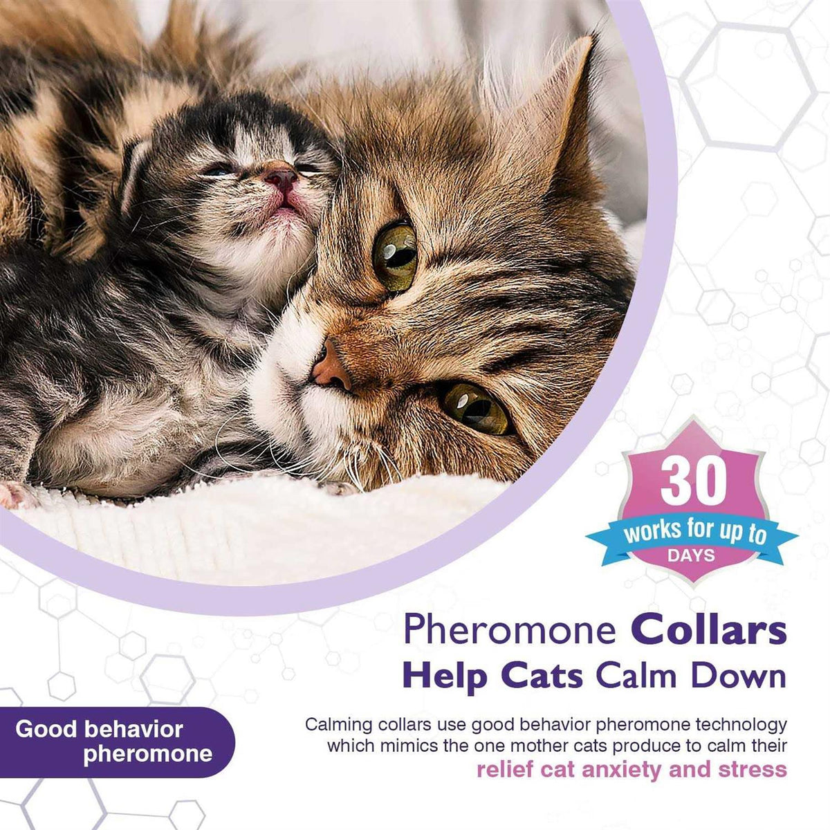 3 Pack Calming Collar D79891