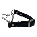 Martingale Collar for Dogs Biothane Stainless Steel Hardware J9019