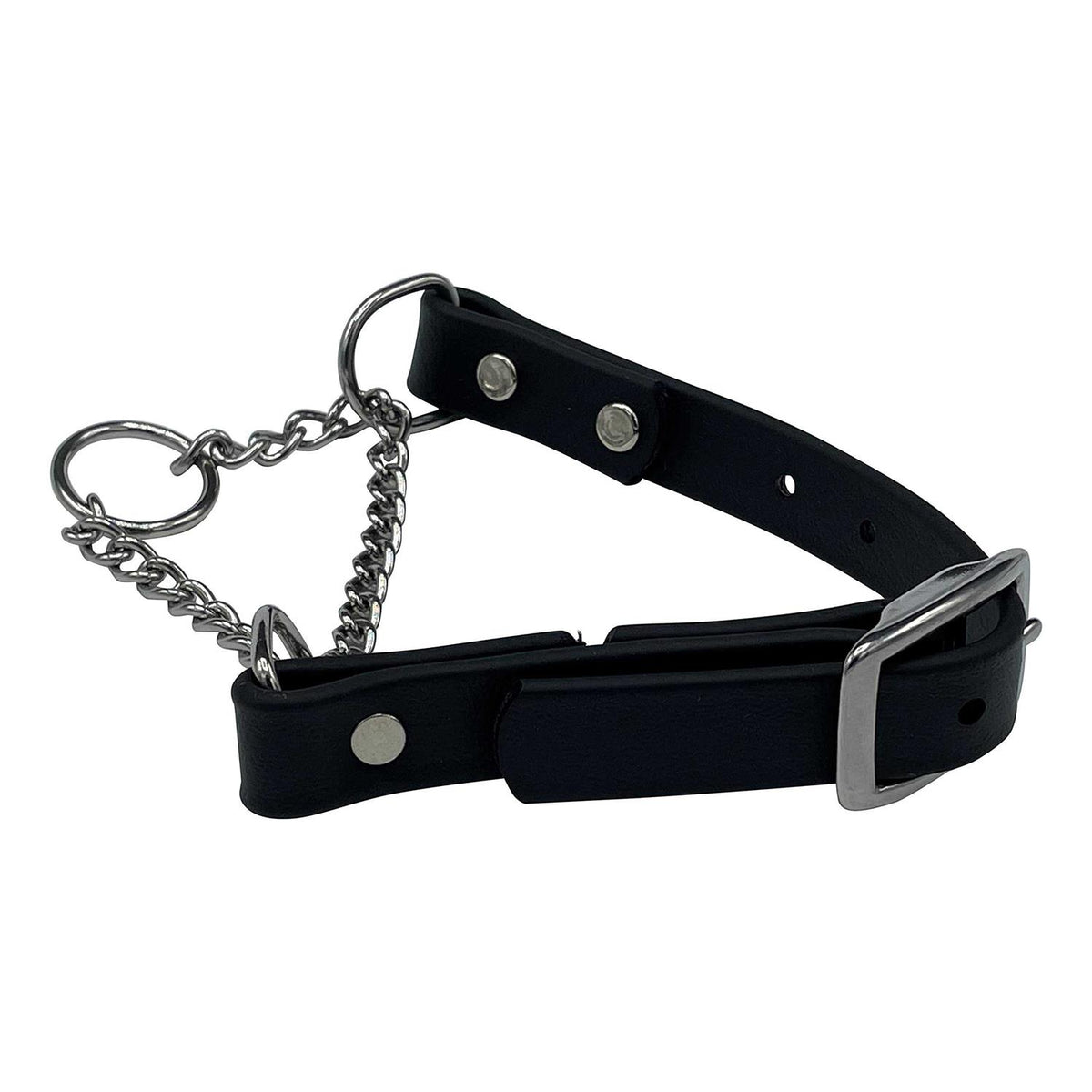 Martingale Collar for Dogs Biothane Stainless Steel Hardware J9019