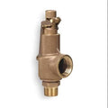 3/4 x 1 In Safety Relief Valve, 225 PSI R861