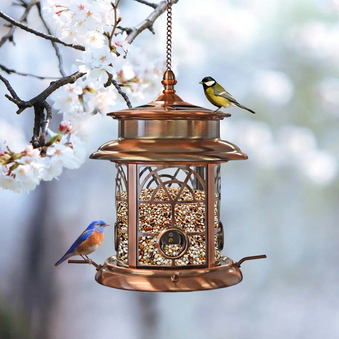 Solar Birdfeeder M178