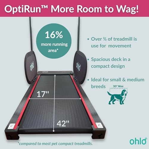Portable Pet Treadmill with Wheels & Remote Control J53731