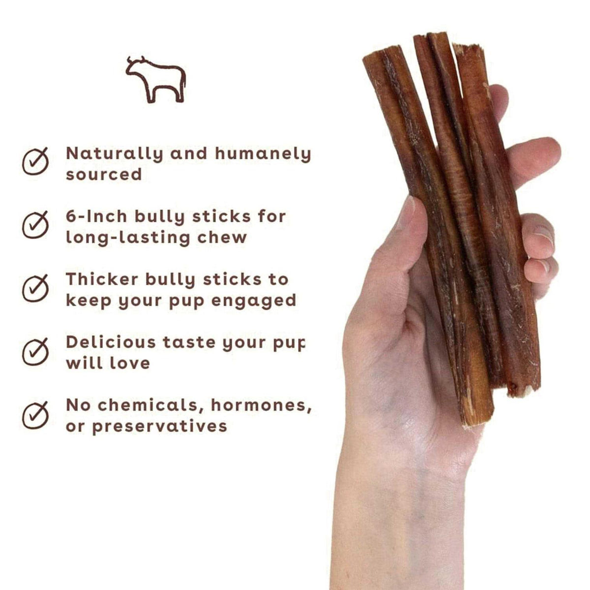 Bully Stick Dog Chew K934306